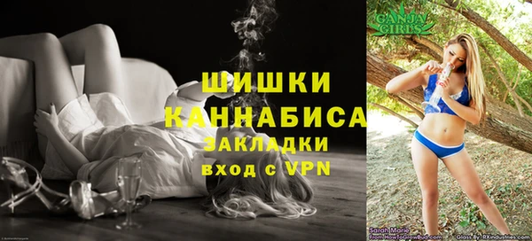 шишки Алексеевка