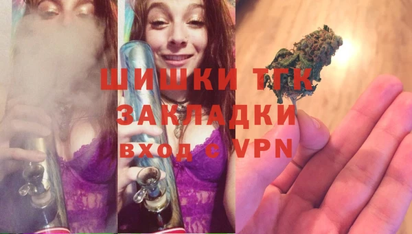шишки Алексеевка